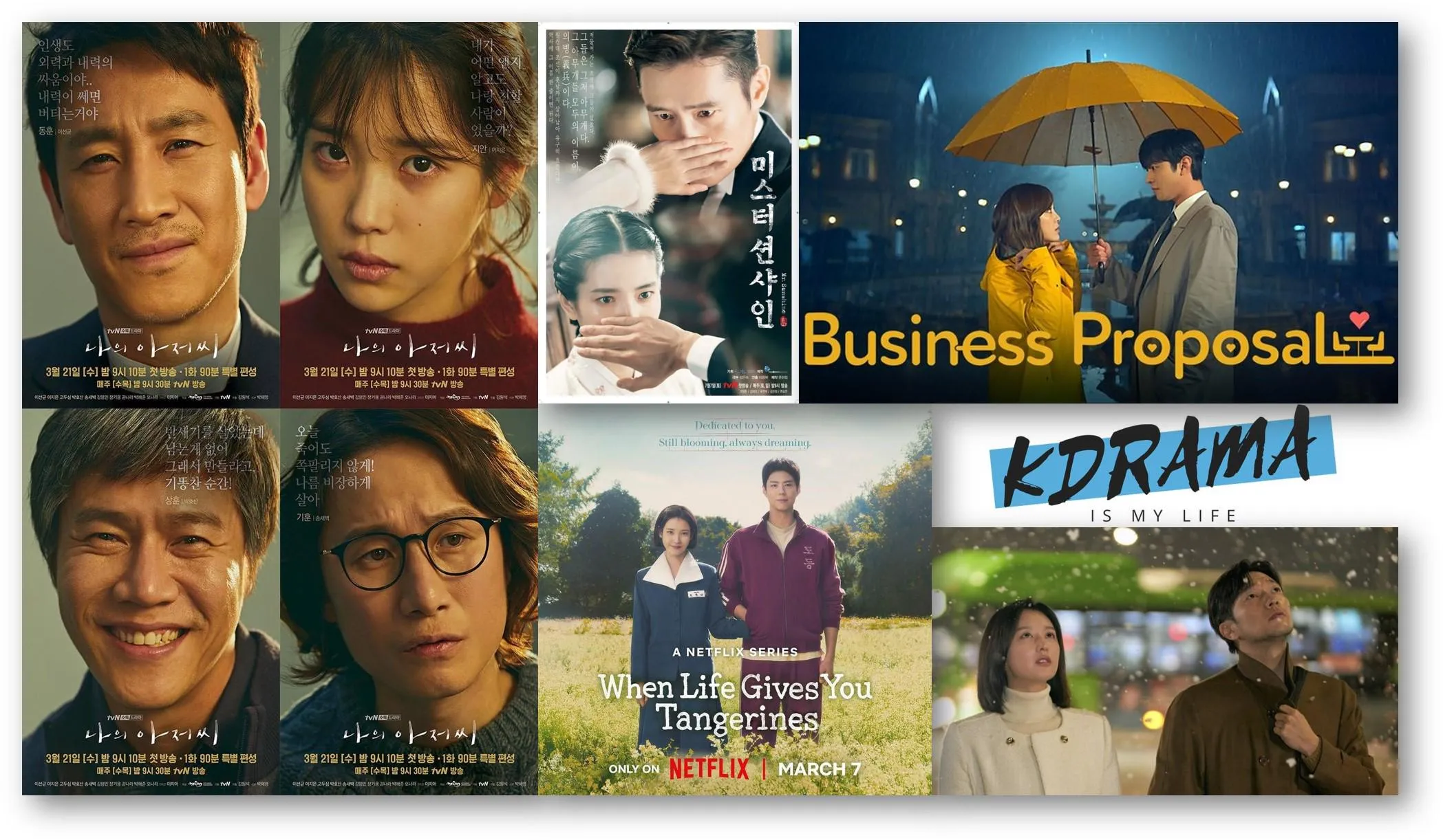 Fandom's Verdict: 'We Are All Trying Here' Delivers the Ultimate K-Drama Punch! cover