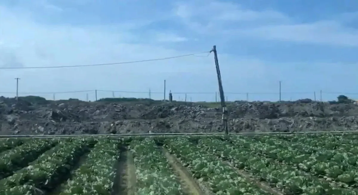 立法院三讀重罰山坡地違法開發 致死最重併罰一億元 cover