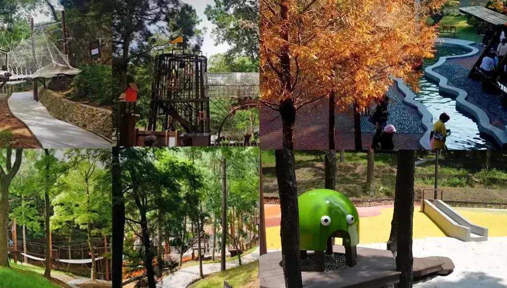 東勢林場10月秀國旗免費入園 225公頃森林樂園 cover