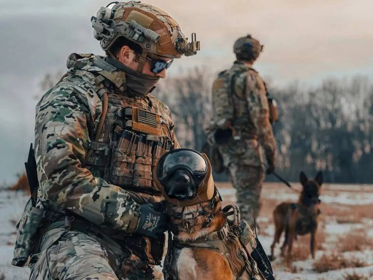 基因複製軍犬新創獲65億融資 2027年首批犬隻出生 cover